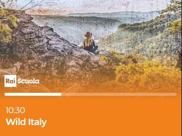 Tv RAI SCUOLA