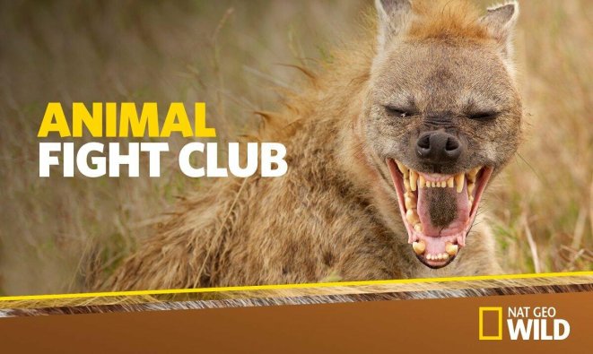 Tv NATIONAL GEOGRAPHIC